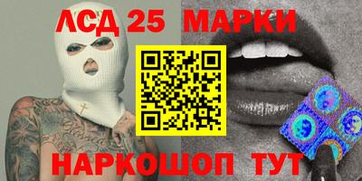 бошки Гатчина