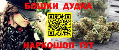 ALPHA PVP Гай