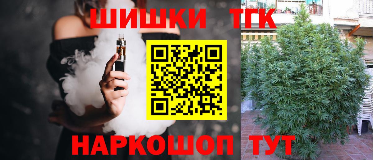Бошки Шишки планчик Сорочинск